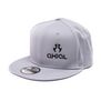 Axial Gray Flat-Bill Snap-Back Hat