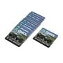 Axial We Build Adventure Sticker