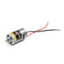 12-Turn 550 Brushed Motor