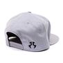 Axial Gray Flat-Bill Snap-Back Hat