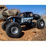 1/10 RR10 Bomber KOH Limited Edition 4WD RTR