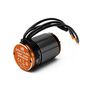 Firma 1200Kv 1/6 BL Sensored Crawler Motor
