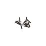 M2.5 x 12mm Flat Head Screw (10)