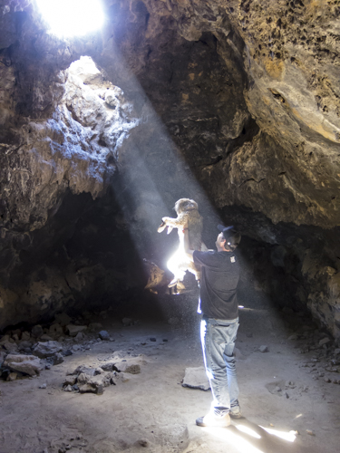 MojaveTrail_149