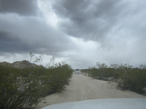 MojaveTrail_014