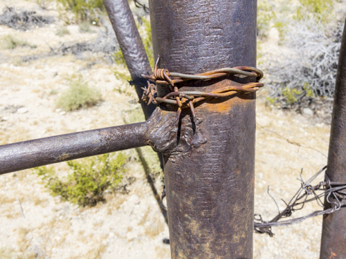 MojaveTrail_117