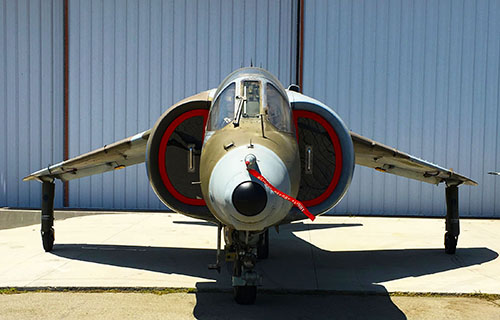 Harrier_2