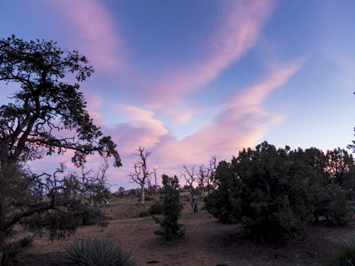 MojaveTrail_098