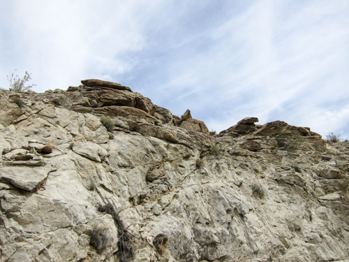 MojaveTrail_009
