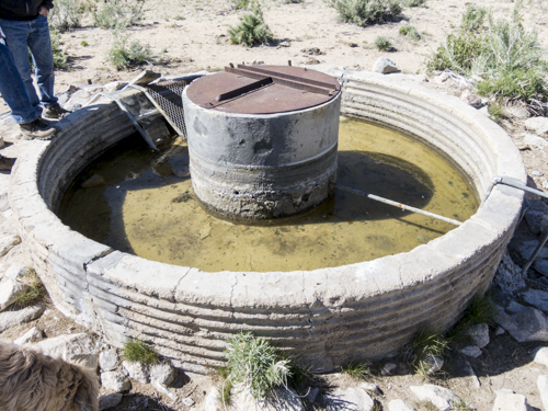 MojaveTrail_089