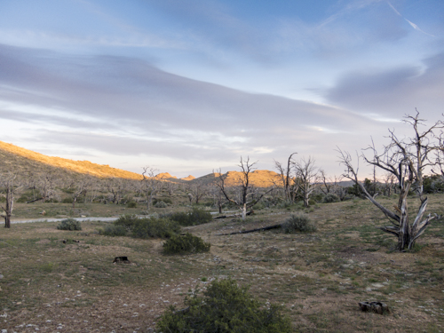 MojaveTrail_096