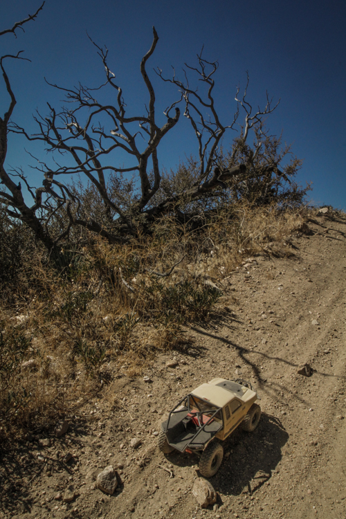 Redonda Ridge Planning-83