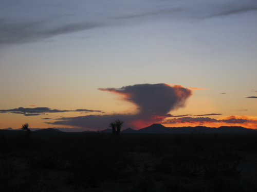 MojaveTrail_030