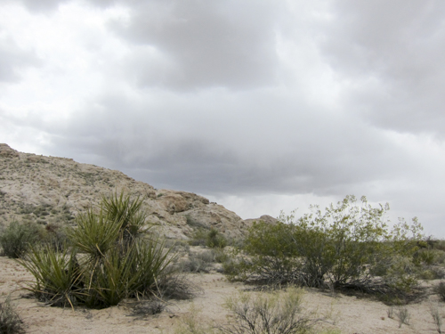 MojaveTrail_013