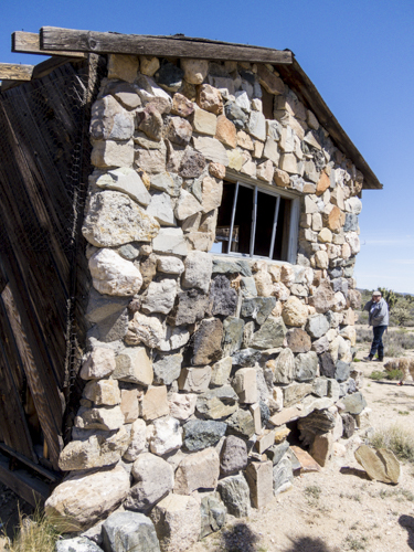 MojaveTrail_064