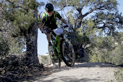 Cannondale_Goose_Berry_140