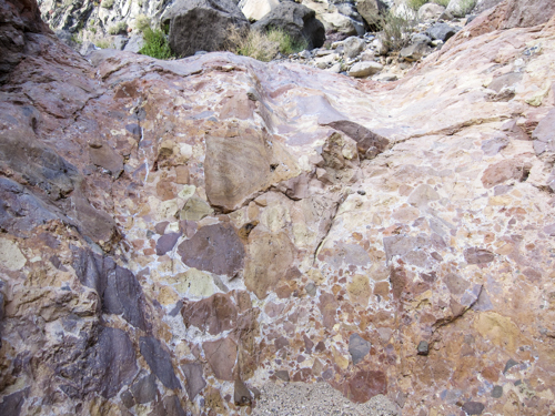 MojaveTrail_025
