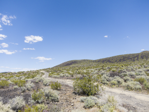 MojaveTrail_133