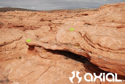 mini-mini-awccq-st-george-294