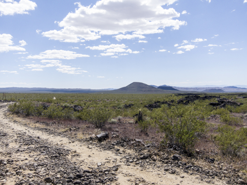 MojaveTrail_139