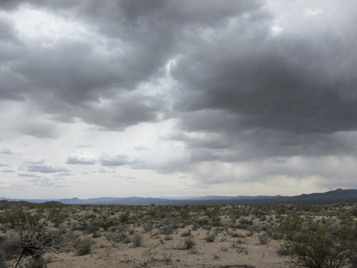 MojaveTrail_015