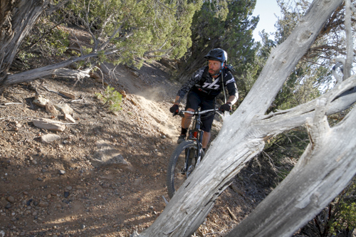 Cannondale_Goose_Berry_162