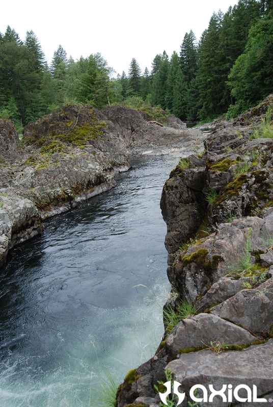 2009-wcc-qualifier-018