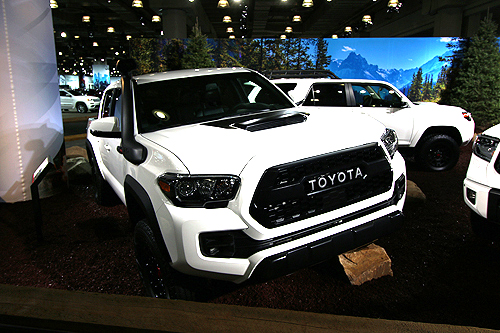 Auto Show 13
