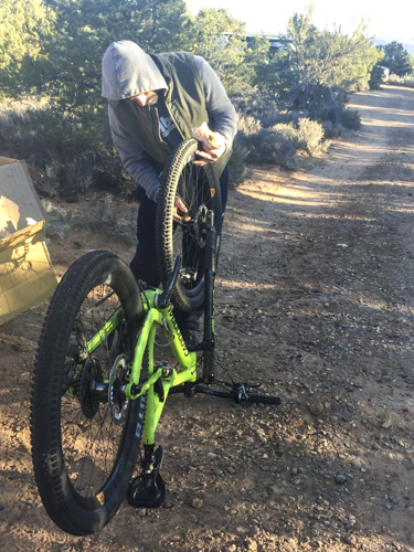 Cannondale_Goose_Berry_057