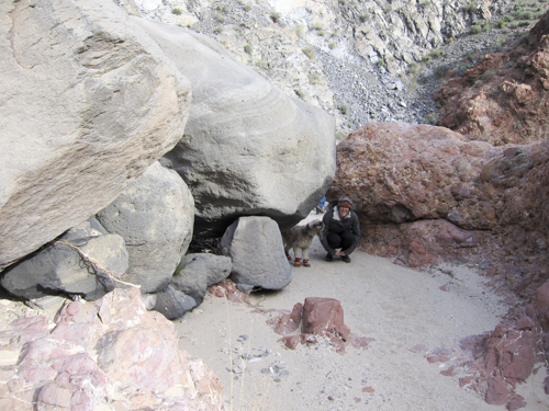 MojaveTrail_023