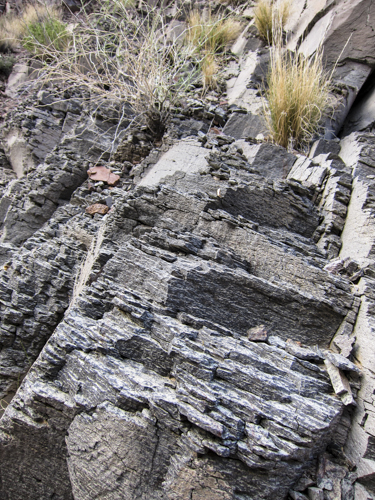 MojaveTrail_027