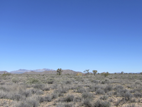 MojaveTrail_036