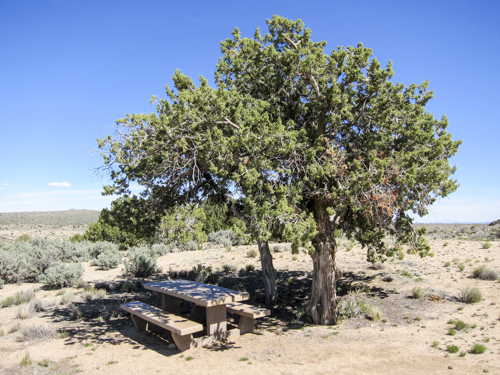 MojaveTrail_088