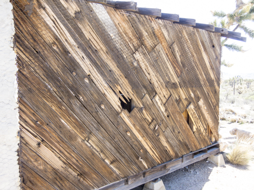 MojaveTrail_063