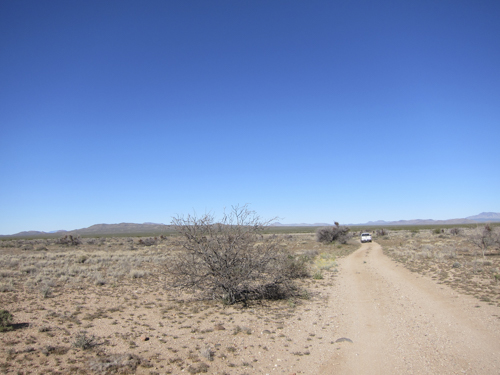 MojaveTrail_033