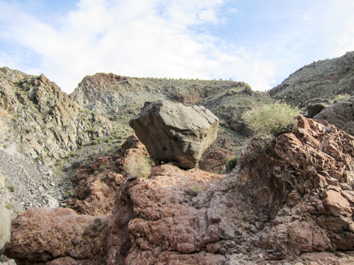 MojaveTrail_021