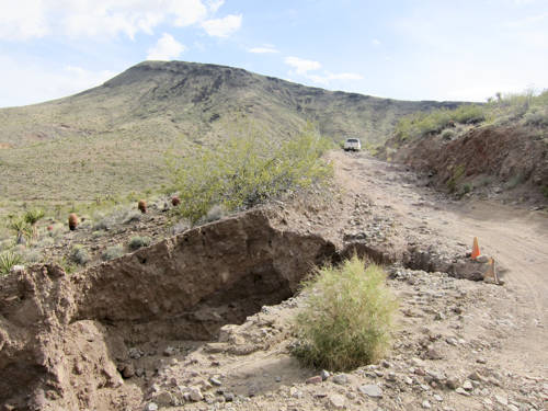 MojaveTrail_016