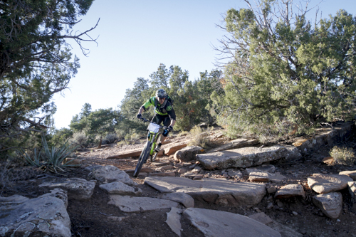 Cannondale_Goose_Berry_175