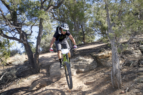 Cannondale_Goose_Berry_152
