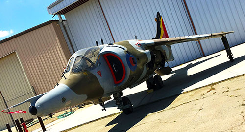 Harrier_3