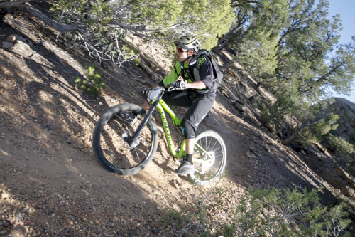 Cannondale_Goose_Berry_160