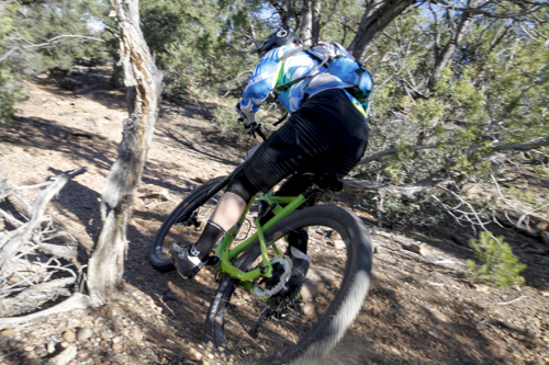 Cannondale_Goose_Berry_157