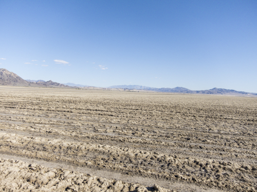 MojaveTrail_157