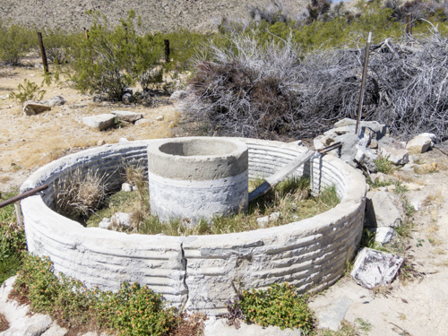 MojaveTrail_115