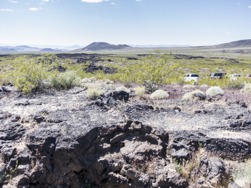 MojaveTrail_141