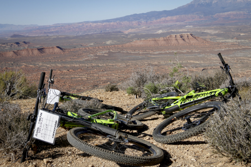 Cannondale_Goose_Berry_205