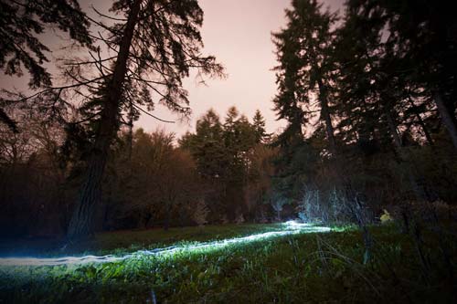 night_photo_tips10