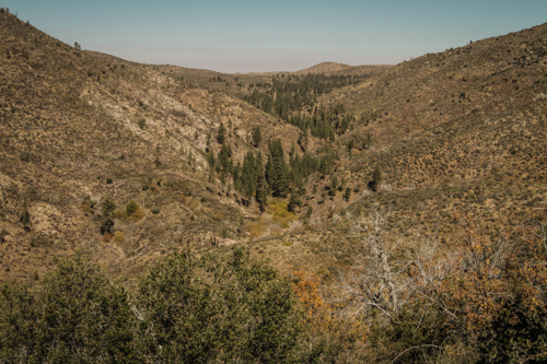 Redonda Ridge Planning-65
