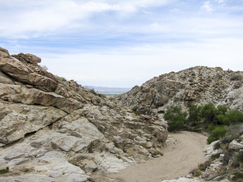 MojaveTrail_011