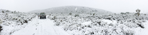 Cannondale_Goose_Berry_Snow_004